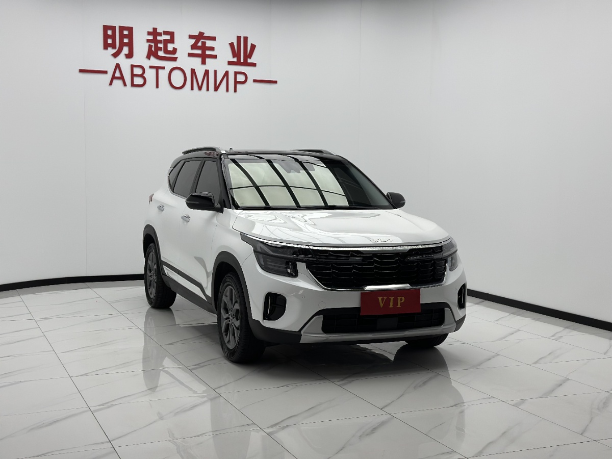 Kia Seltos 2024 car image #3