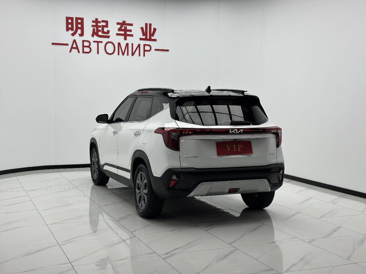 Kia Seltos 2024 car image #8