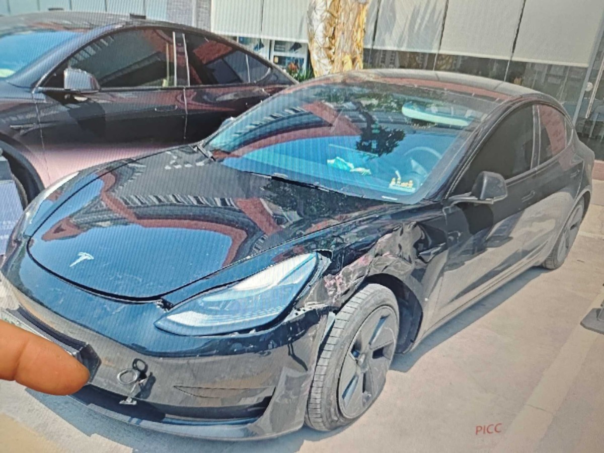 Tesla Model 3 2023 #9 Tesla Model 3 2023 car image #9