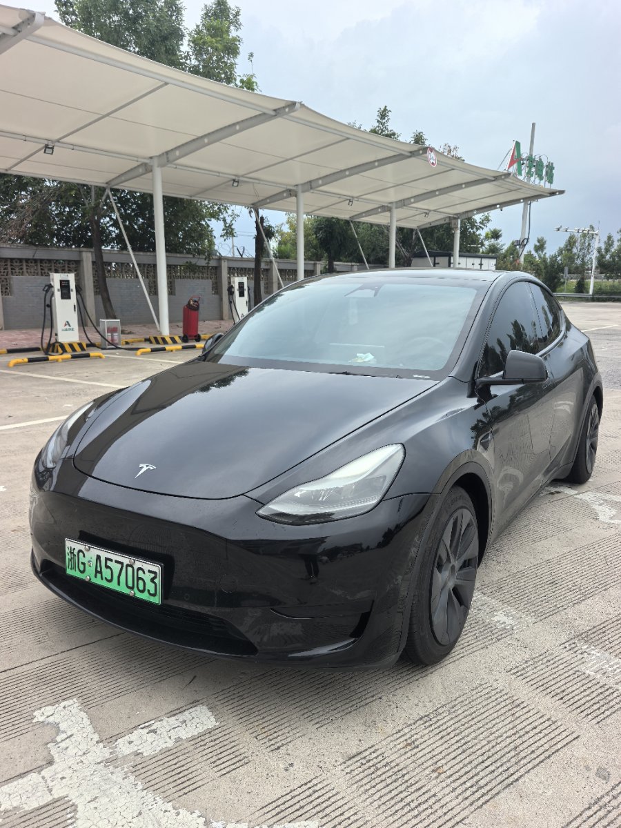 Tesla Model Y 2024 Tesla Model Y 2024 car image