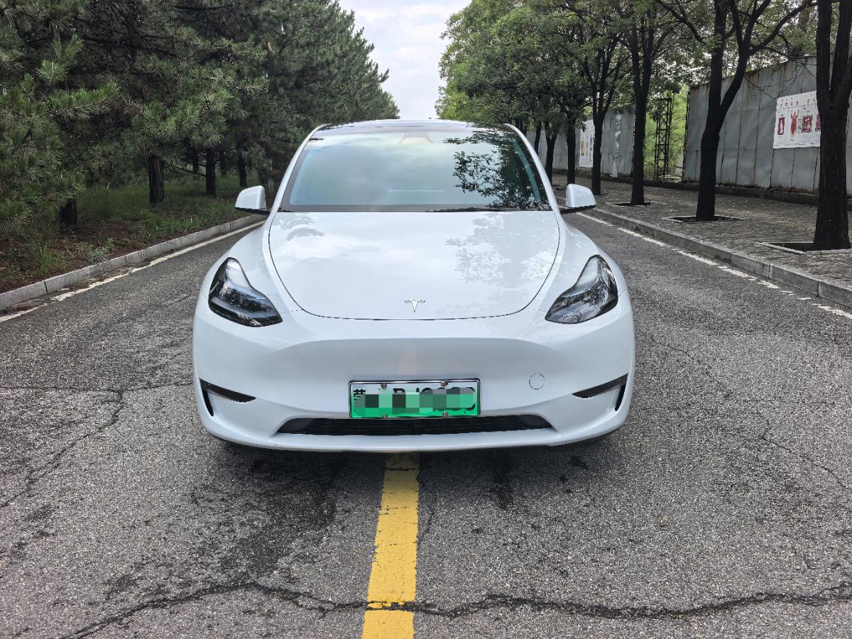 Tesla Model Y 2024 Tesla Model Y 2024 car image