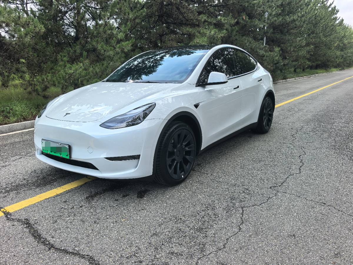 Tesla Model Y 2024 #2 Tesla Model Y 2024 car image #2