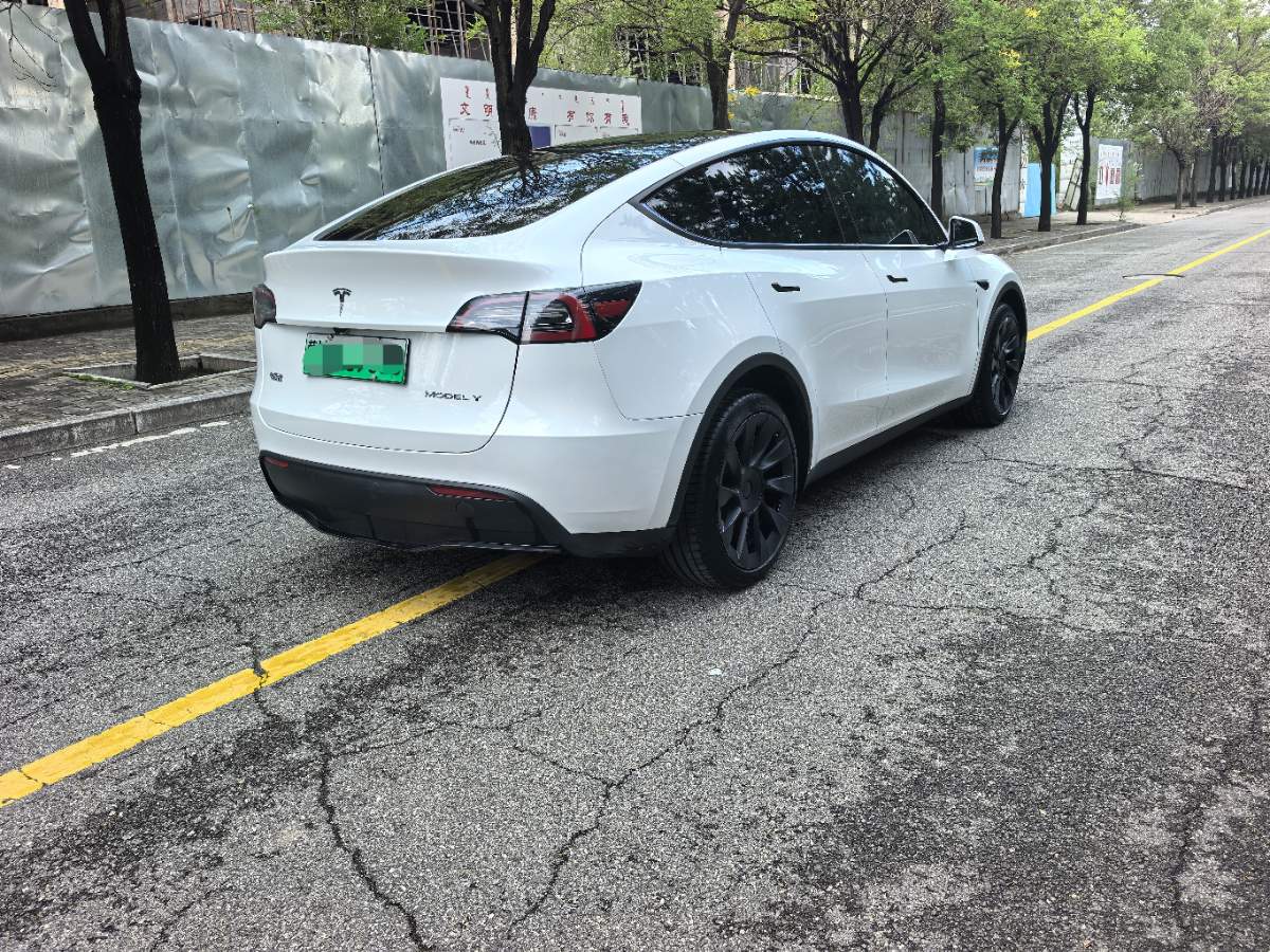 Tesla Model Y 2024 #6 Tesla Model Y 2024 car image #6