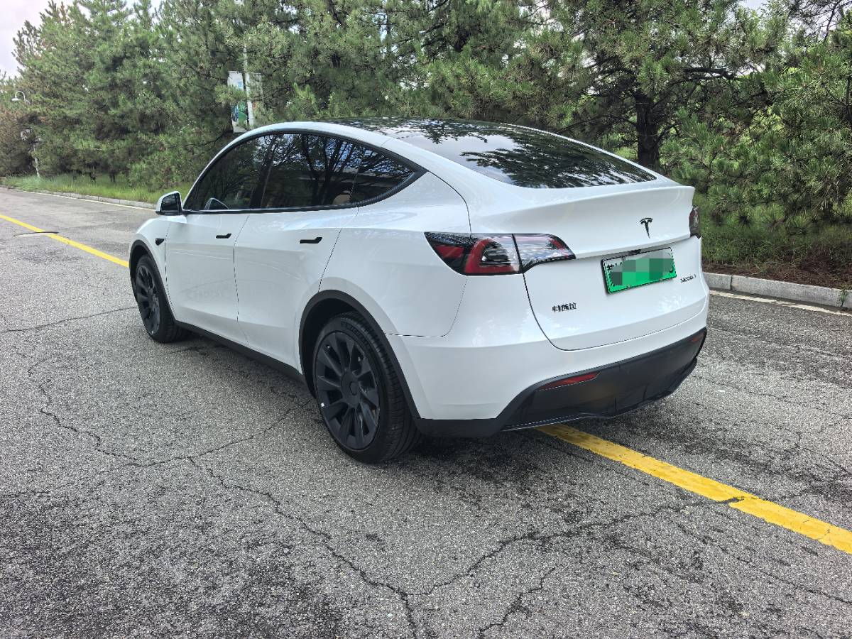 Tesla Model Y 2024 #8 Tesla Model Y 2024 car image #8
