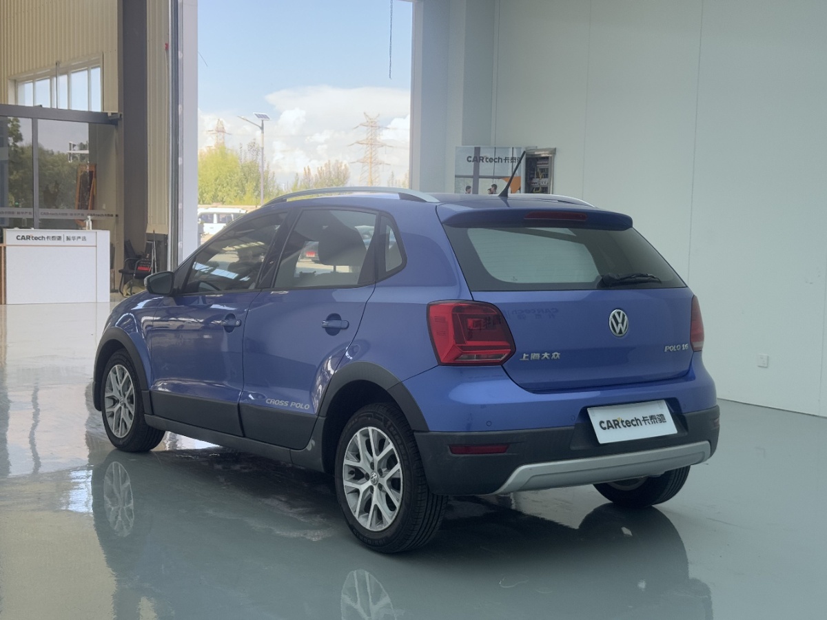 Volkswagen Polo 2014 car image #5