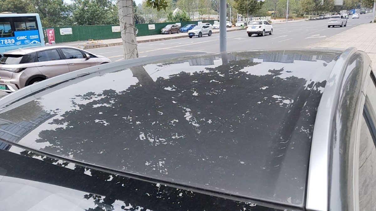 GEELY Coolray 2024 #7 GEELY Coolray 2024 صورة سيارة #7