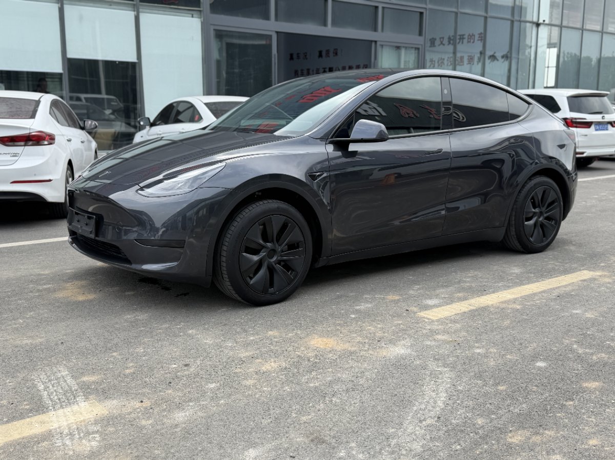 Tesla Model Y 2024 Tesla Model Y 2024 car image