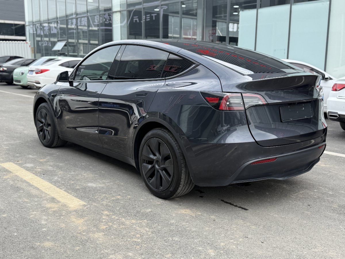 Tesla Model Y 2024 #6 Tesla Model Y 2024 car image #6