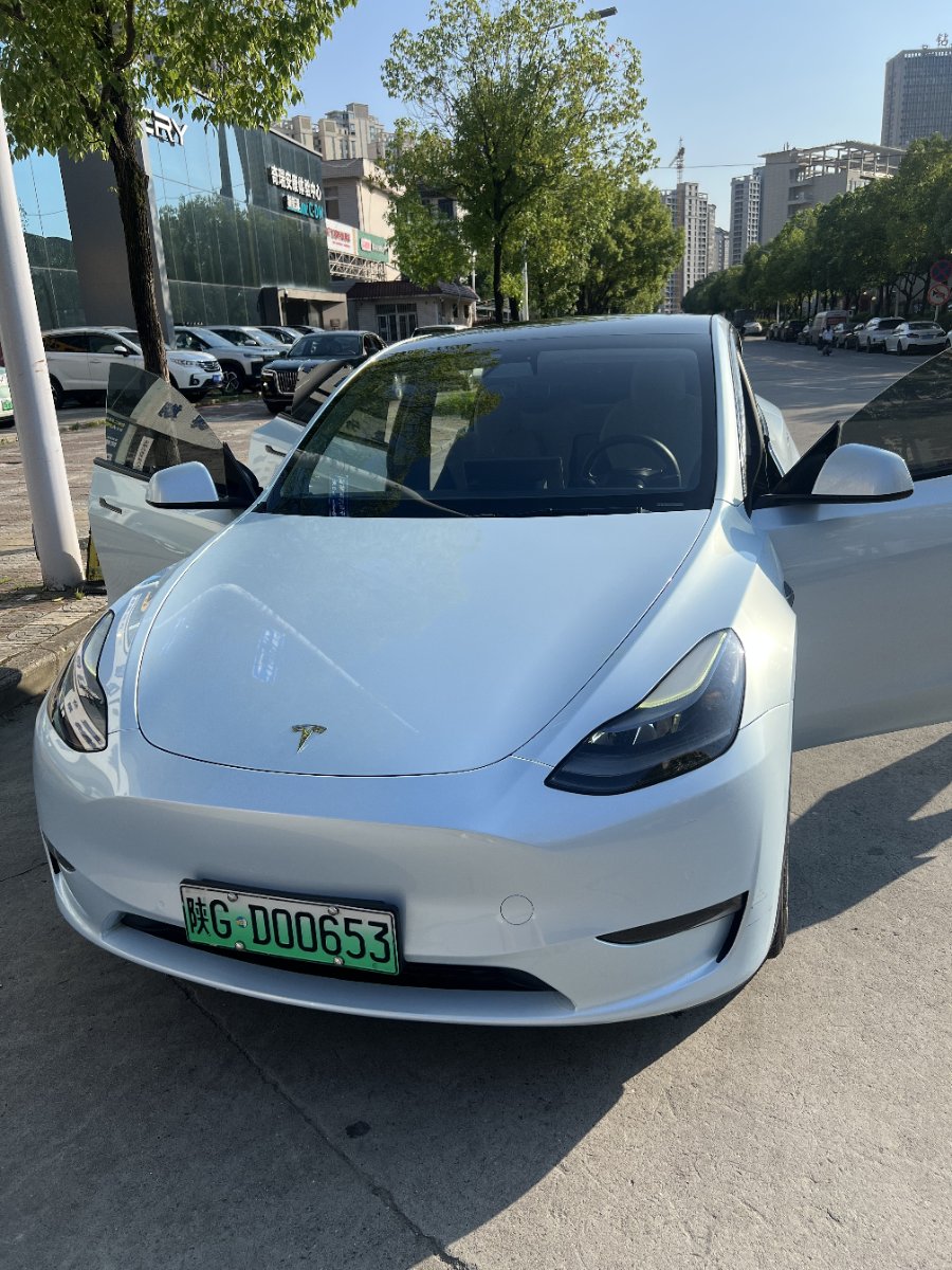 Tesla Model Y 2021 Tesla Model Y 2021 car image