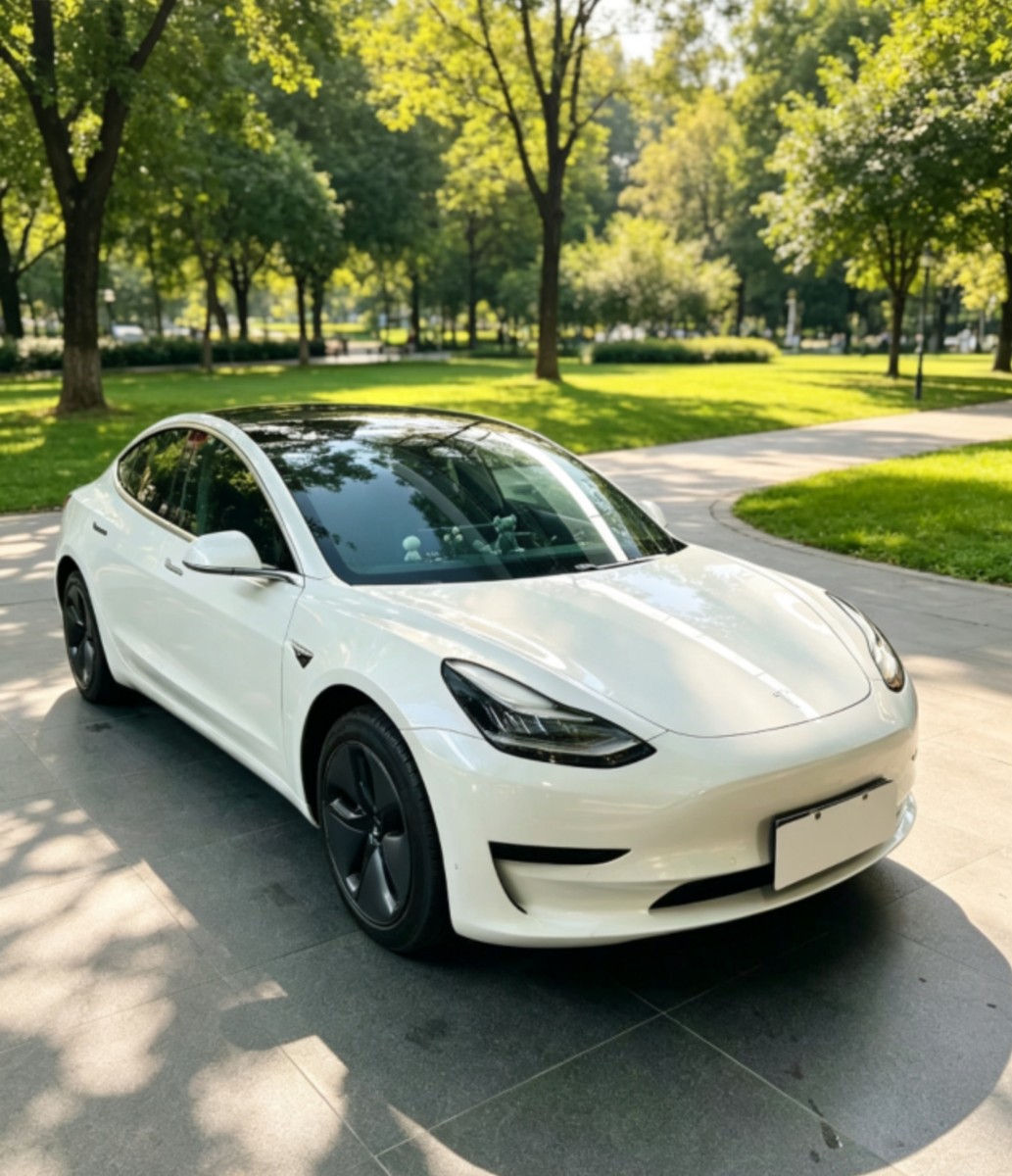 Tesla Model 3 2019 #3 Tesla Model 3 2019 car image #3