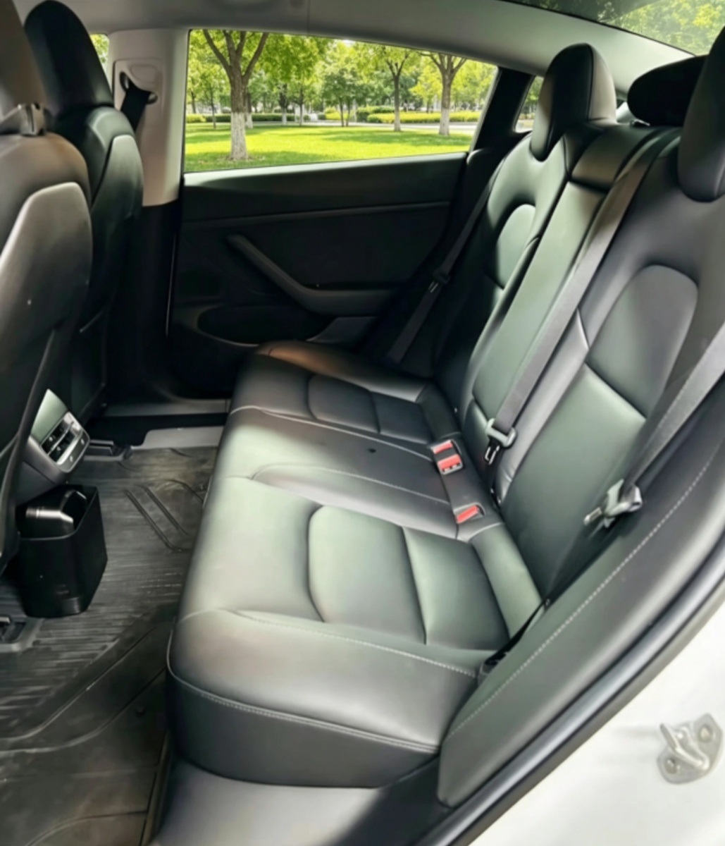 Tesla Model 3 2019 #5 Tesla Model 3 2019 car image #5