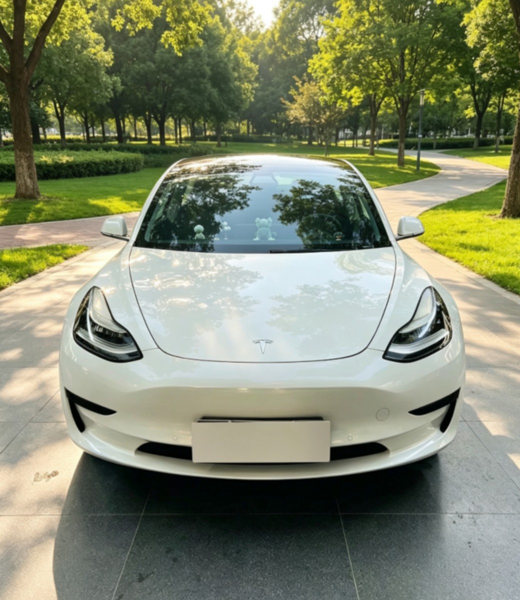 Tesla Model 3 2019 #2 Tesla Model 3 2019 car image #2