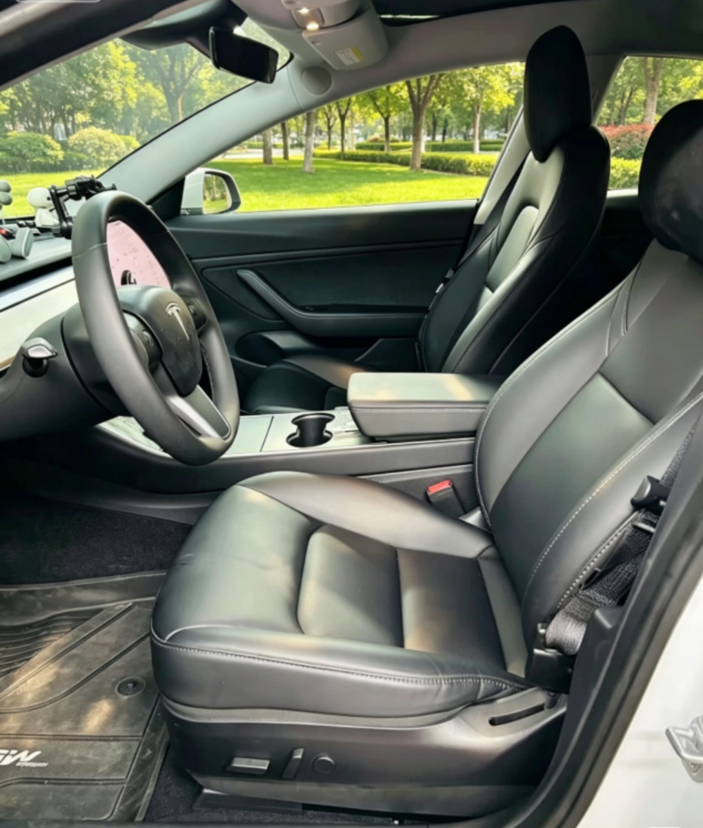 Tesla Model 3 2019 #4 Tesla Model 3 2019 car image #4