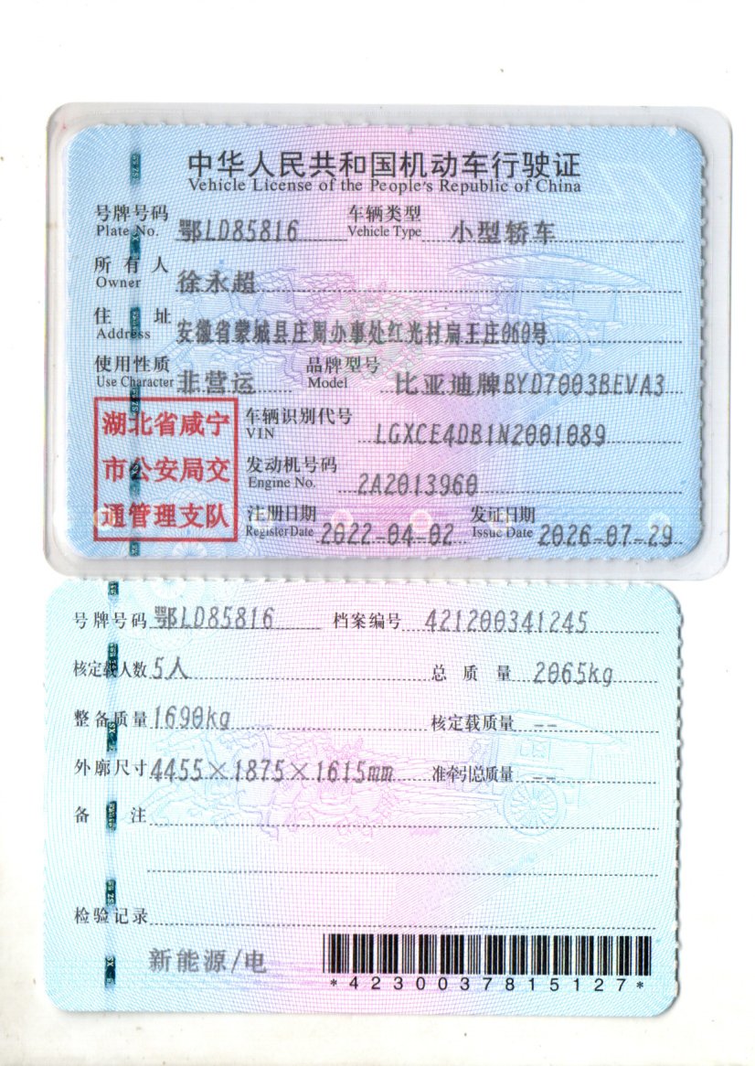 BYD Yuan Plus 2022 car image #7