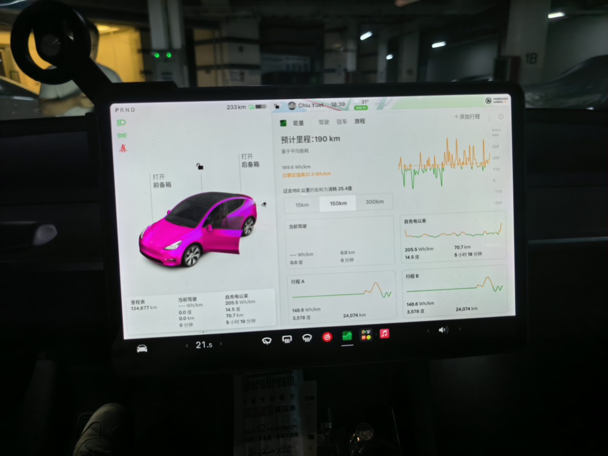 Tesla Model Y 2021 #6 Tesla Model Y 2021 car image #6