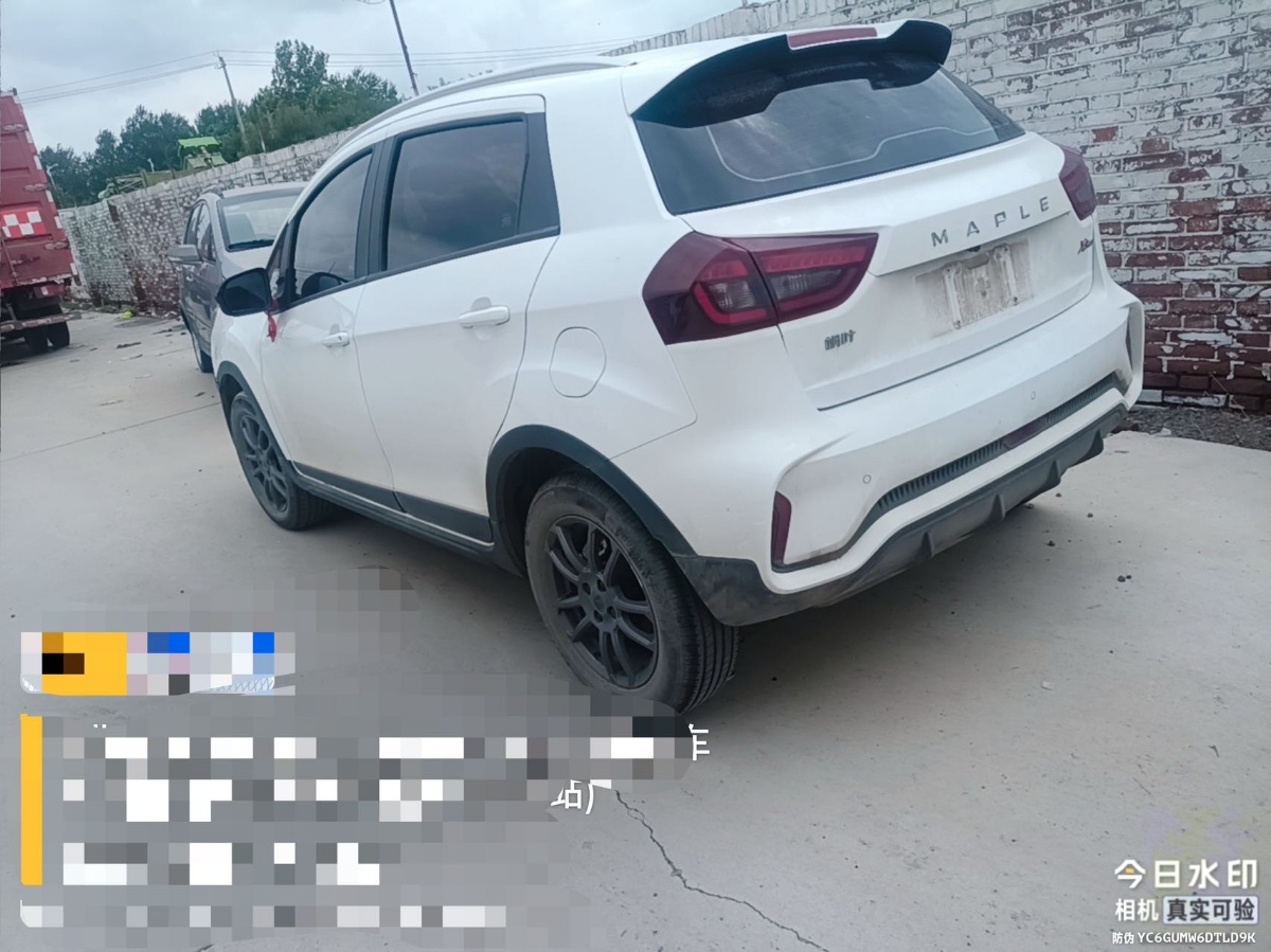 Livan X3 PRO 2023 car image #4