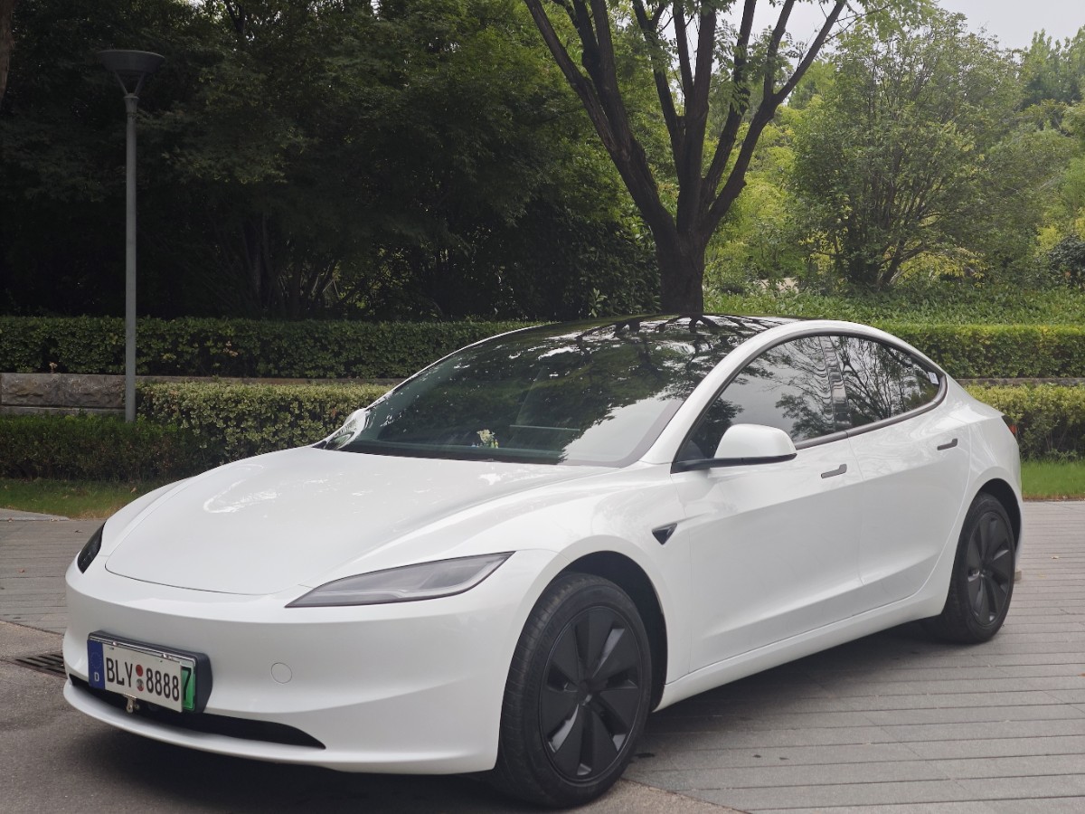 Tesla Model 3 2025 car image 