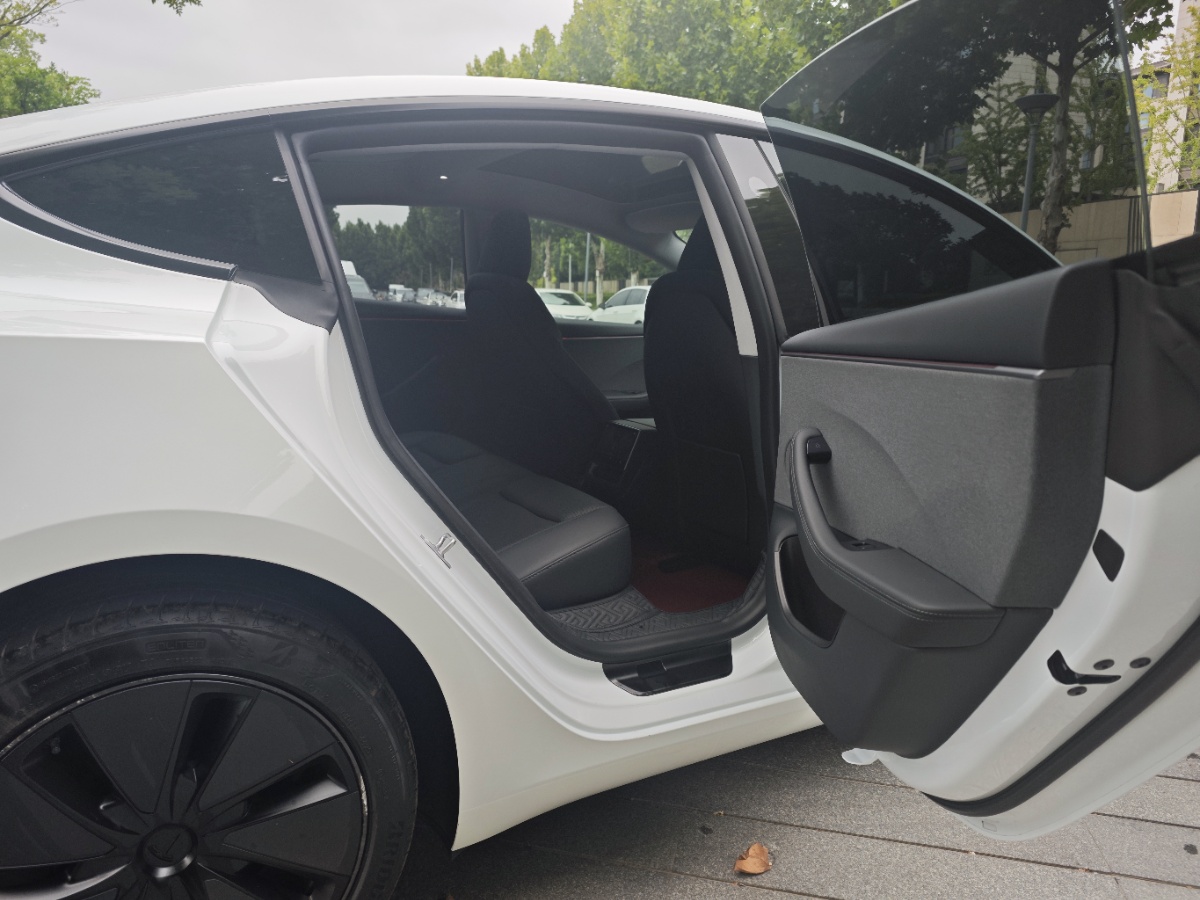 Tesla Model 3 2025 car image #10