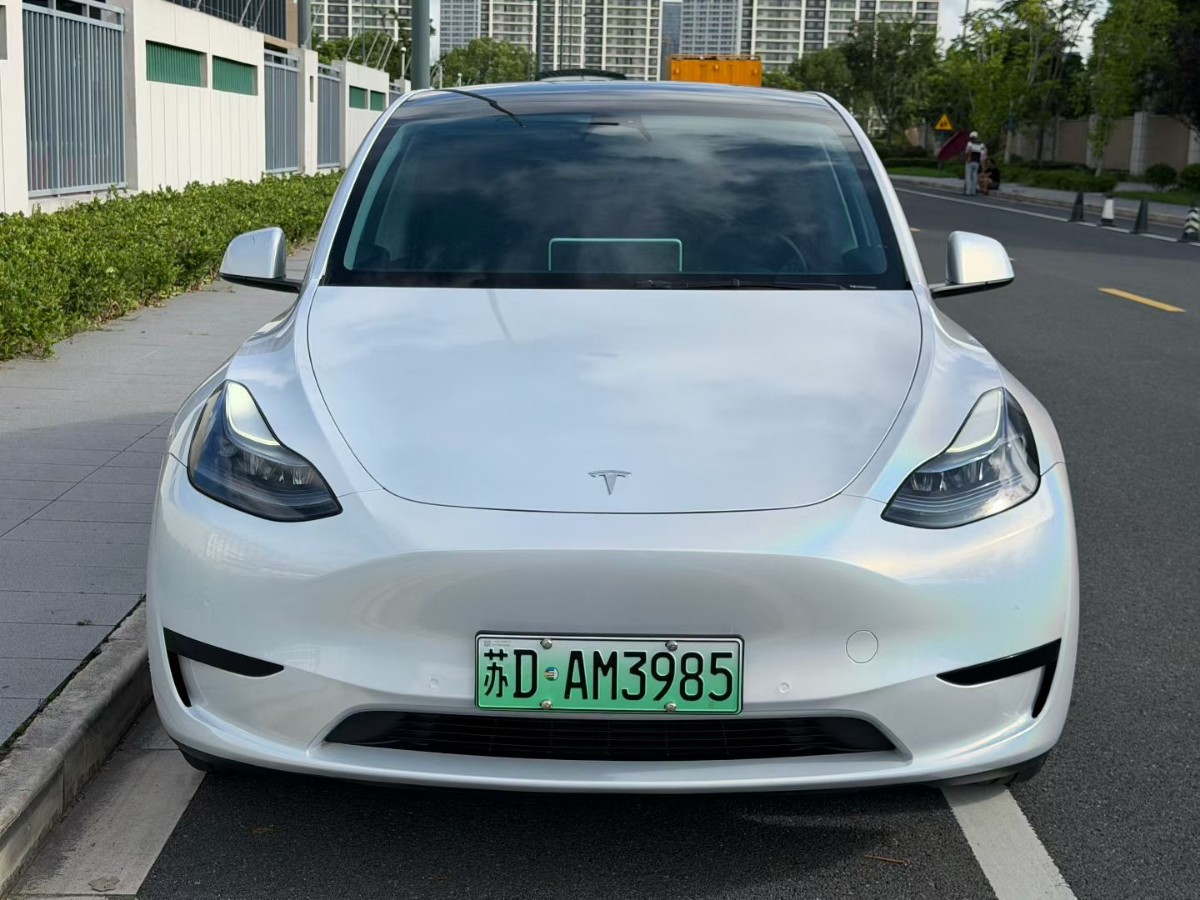 Tesla Model Y 2023 Tesla Model Y 2023 car image