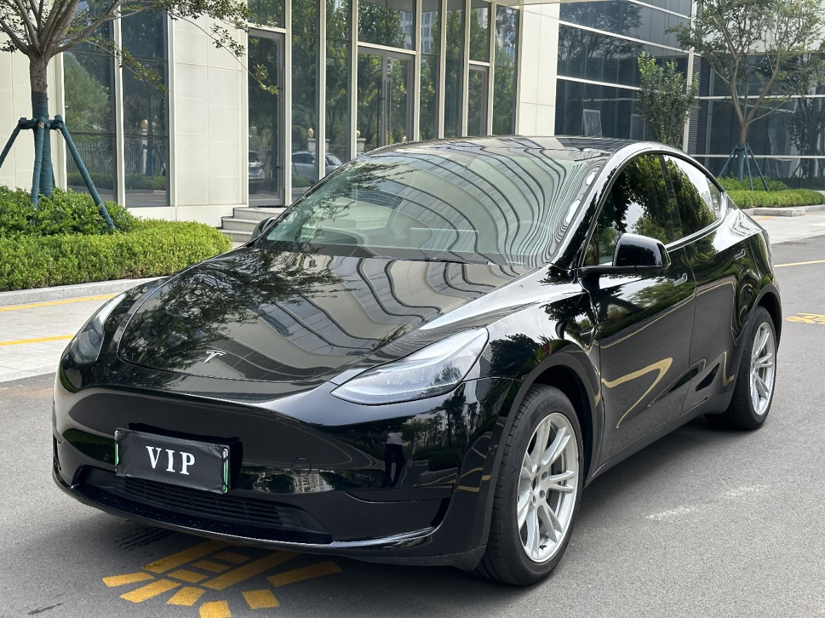 Tesla Model Y 2023 car image 