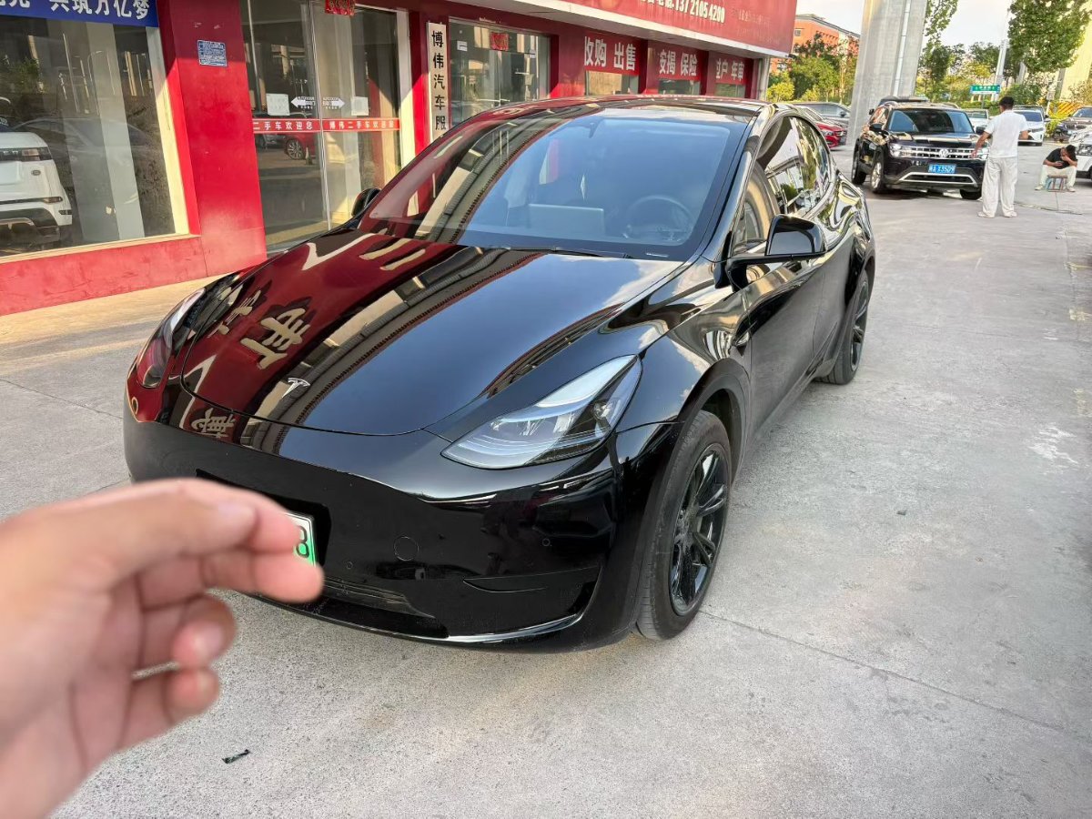 Tesla Model Y 2023 Tesla Model Y 2023 car image