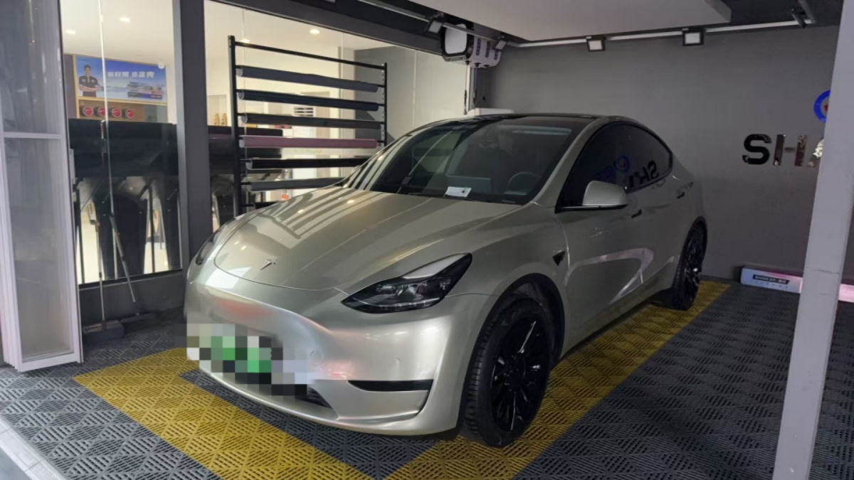 Tesla Model Y 2022 Tesla Model Y 2022 car image