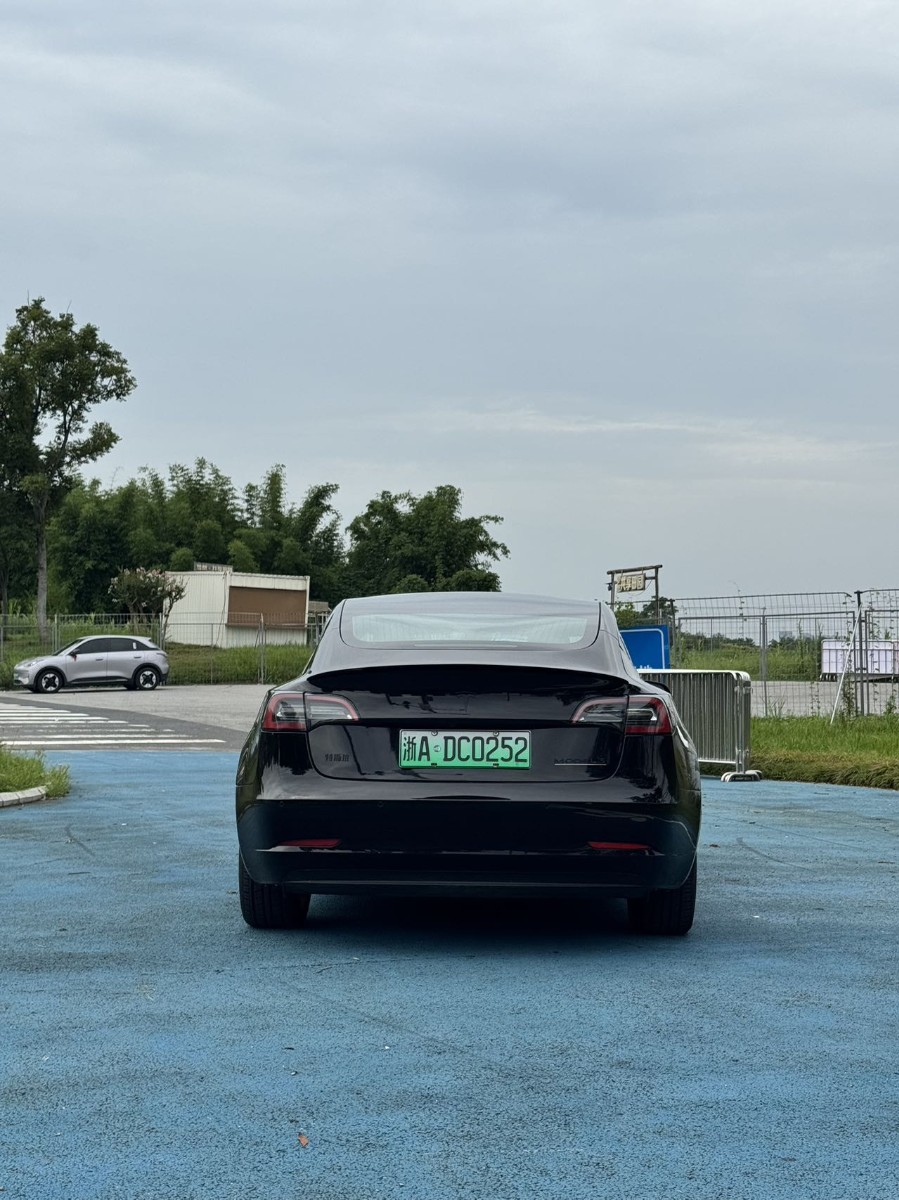 Tesla Model 3 2021 #5 Tesla Model 3 2021 car image #5