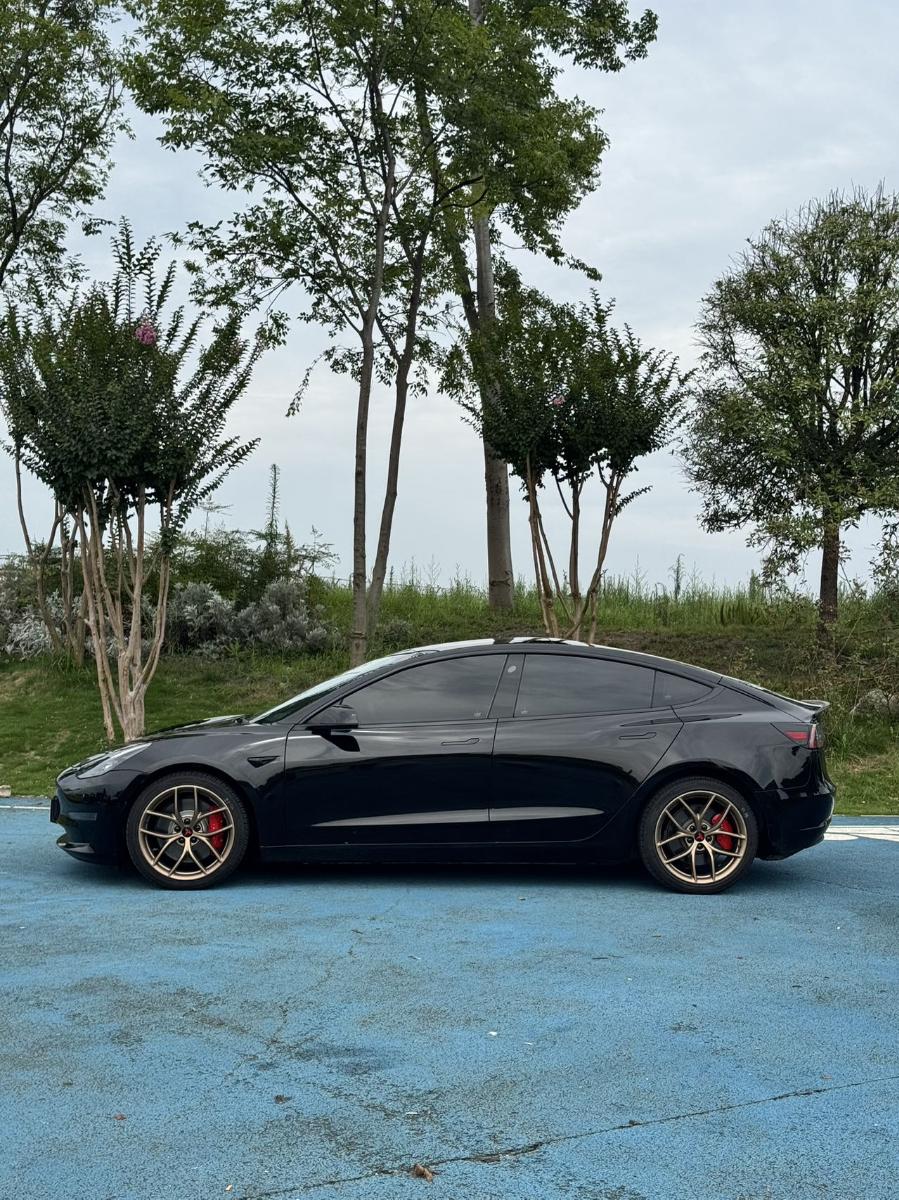 Tesla Model 3 2021 #4 Tesla Model 3 2021 car image #4