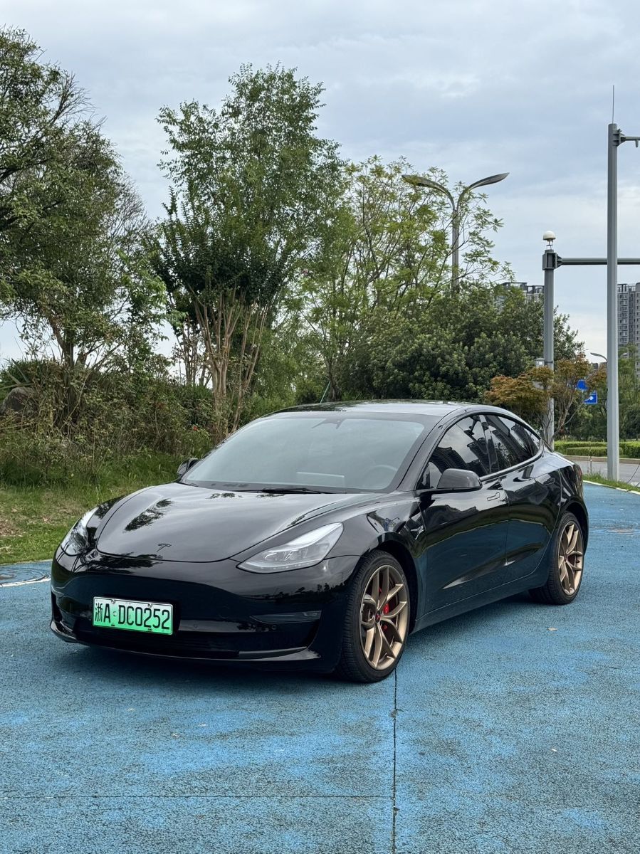 Tesla Model 3 2021 Tesla Model 3 2021 car image