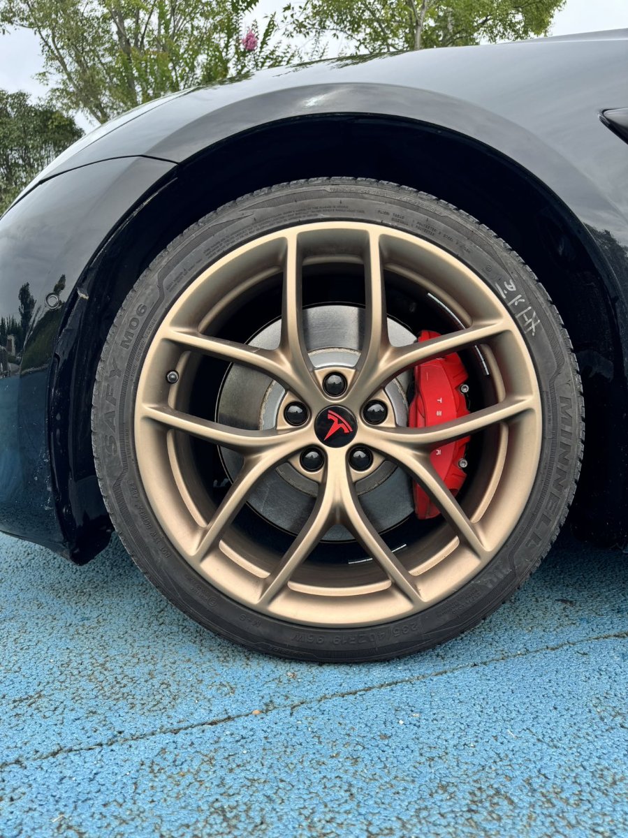 Tesla Model 3 2021 #8 Tesla Model 3 2021 car image #8