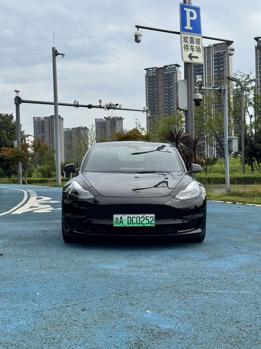 Tesla Model 3 2021 #2 Tesla Model 3 2021 car image #2