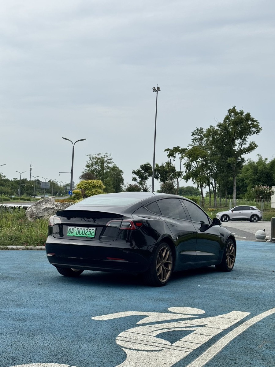 Tesla Model 3 2021 #3 Tesla Model 3 2021 car image #3