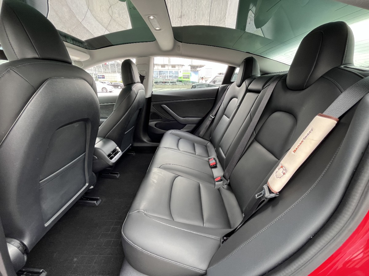 Tesla Model 3 2020 #8 Tesla Model 3 2020 car image #8