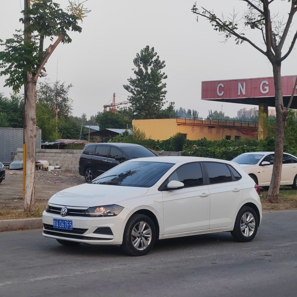 Volkswagen Polo 2022 Volkswagen Polo 2022 car image