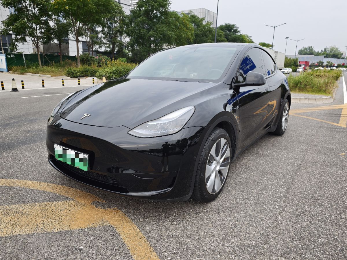 Tesla Model Y 2023 car image 