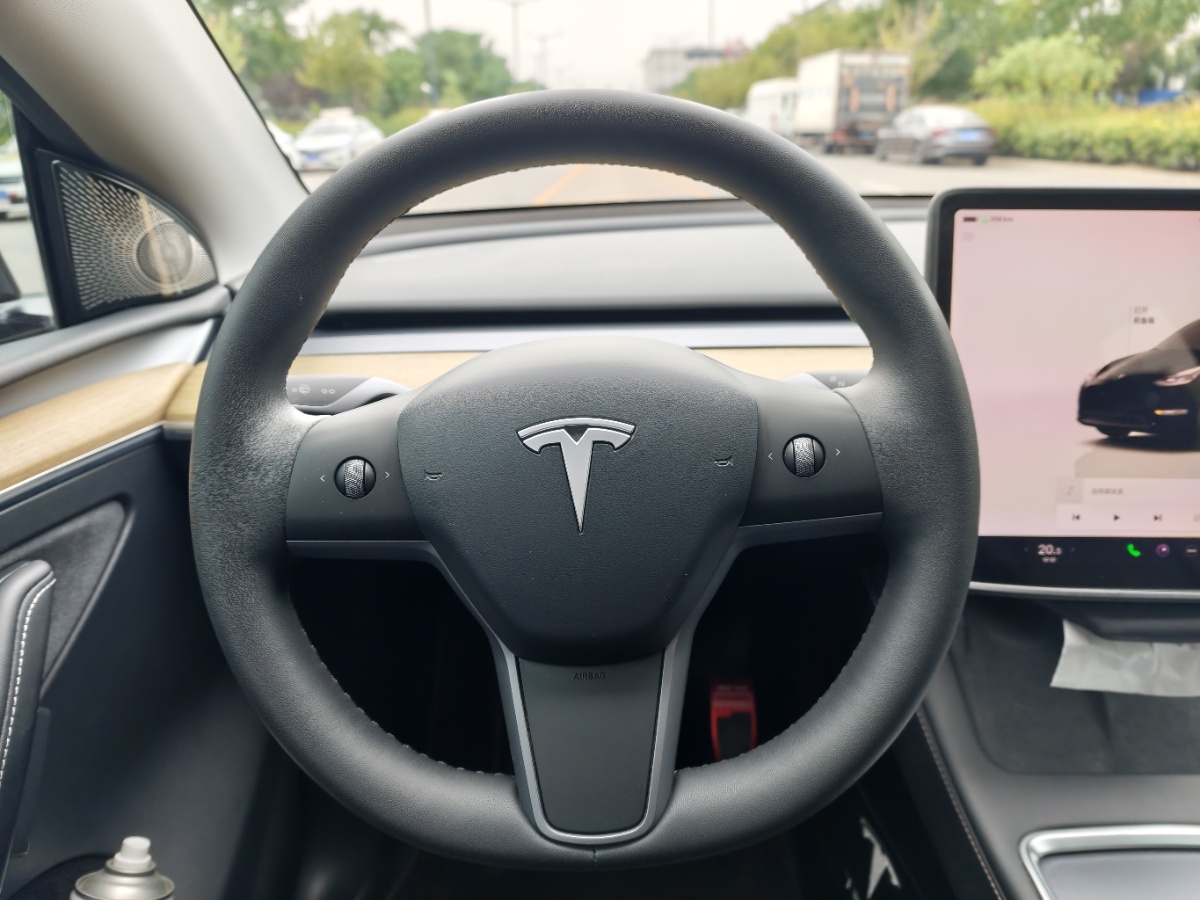 Tesla Model Y 2023 car image #14