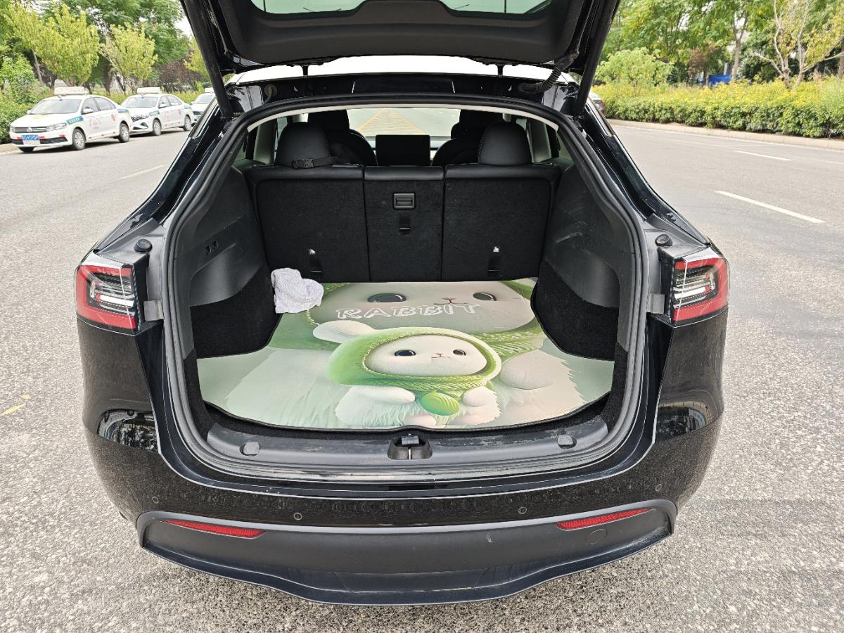 Tesla Model Y 2023 car image #18