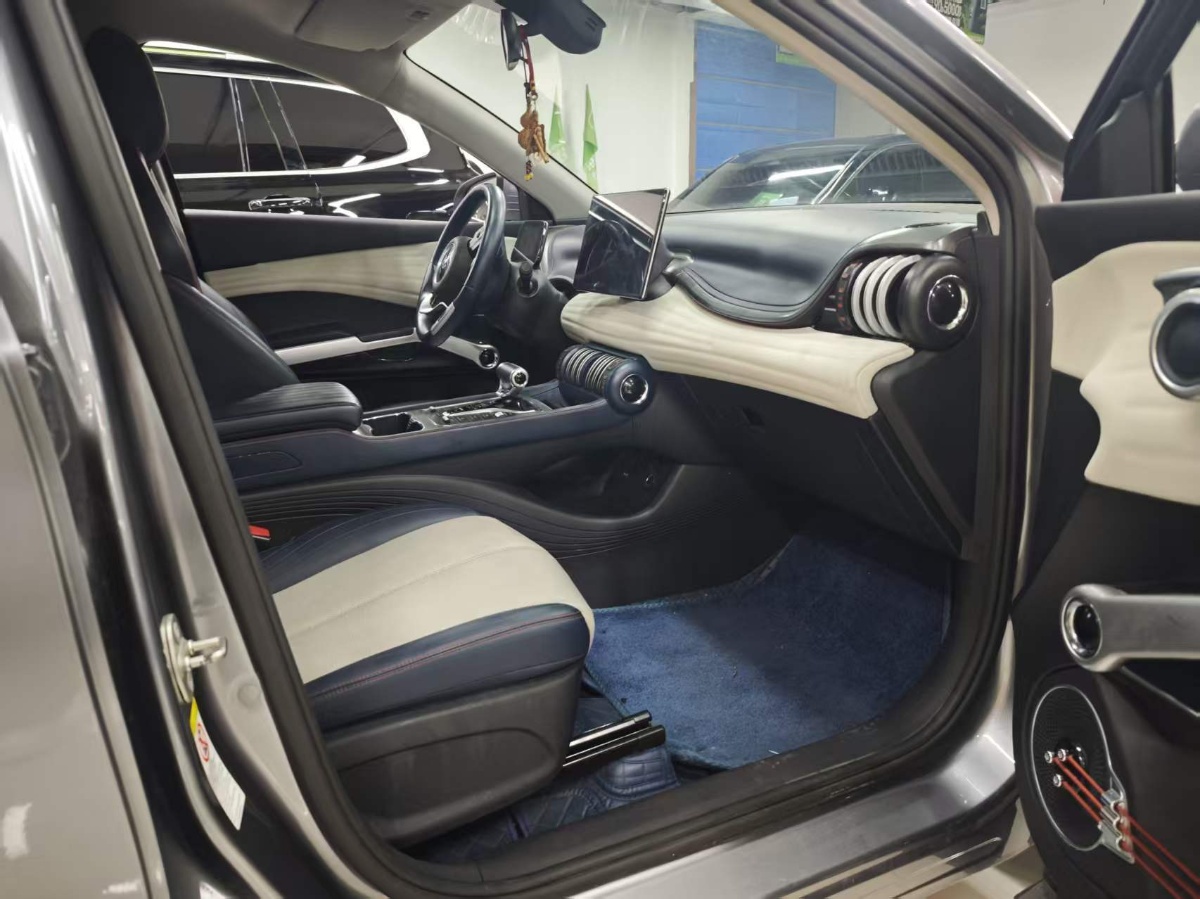 BYD Yuan Plus 2022 car image #6