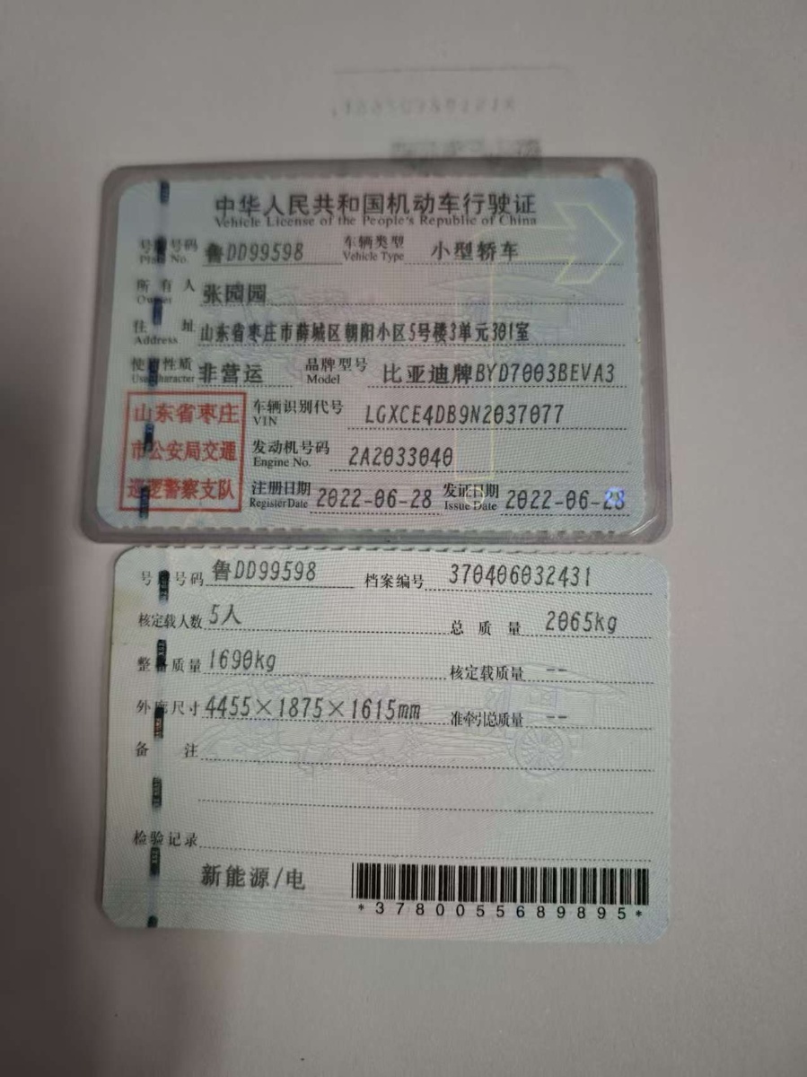 BYD Yuan Plus 2022 car image #10