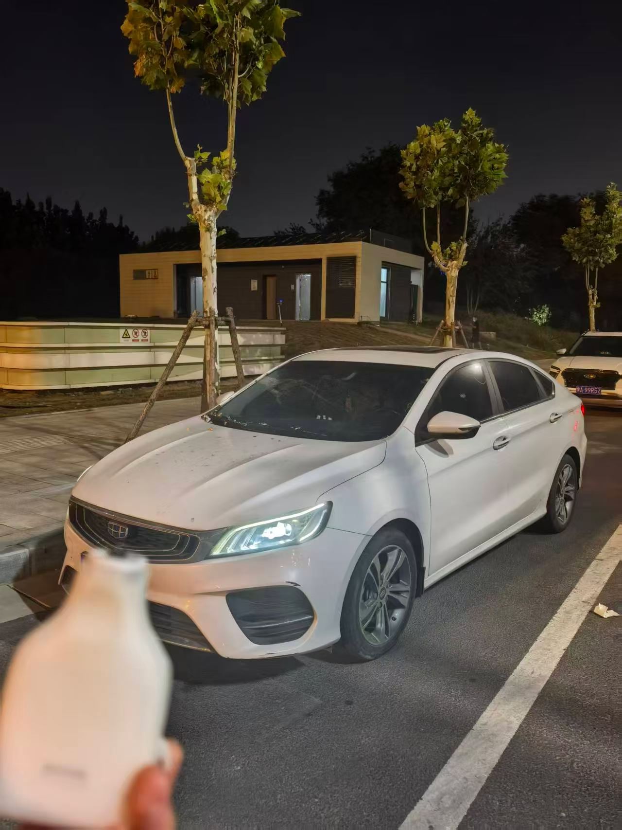 GEELY Binray 2019 GEELY Binray 2019 immagine di auto