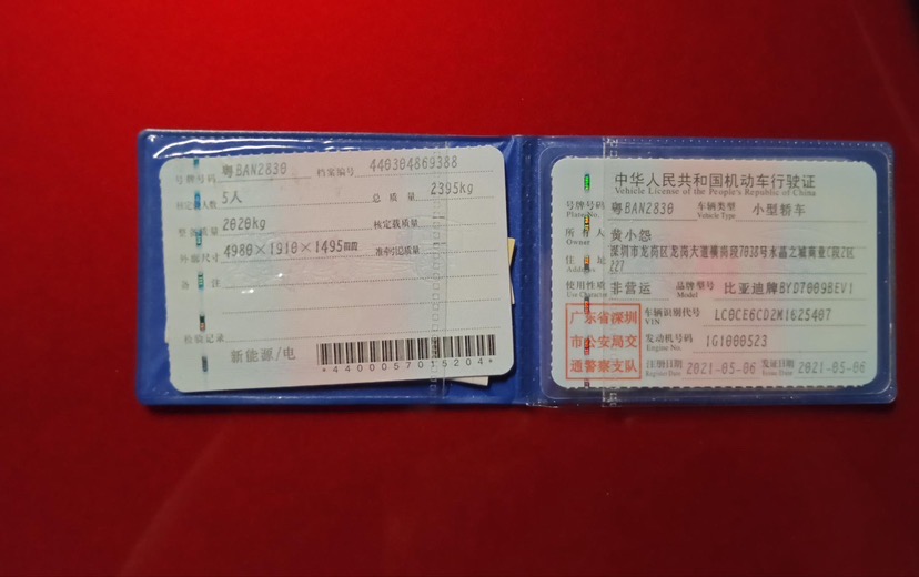 BYD Han 2021 car image #10