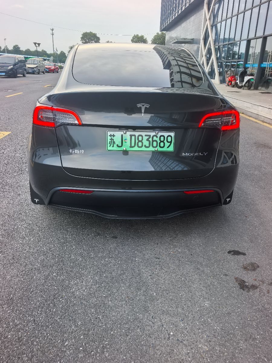 Tesla Model Y 2023 car image #6