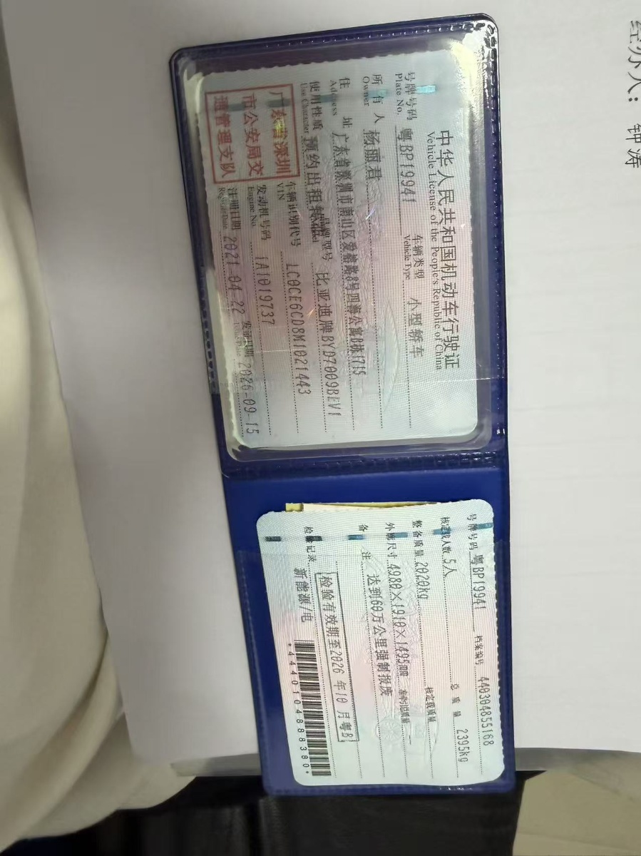 BYD Han 2021 car image #10