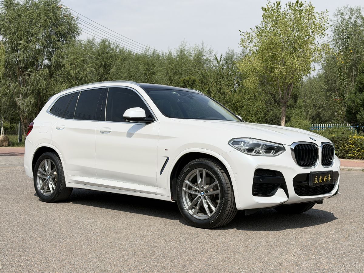 BMW X3 2020 #3 BMW X3 2020 immagine di auto #3