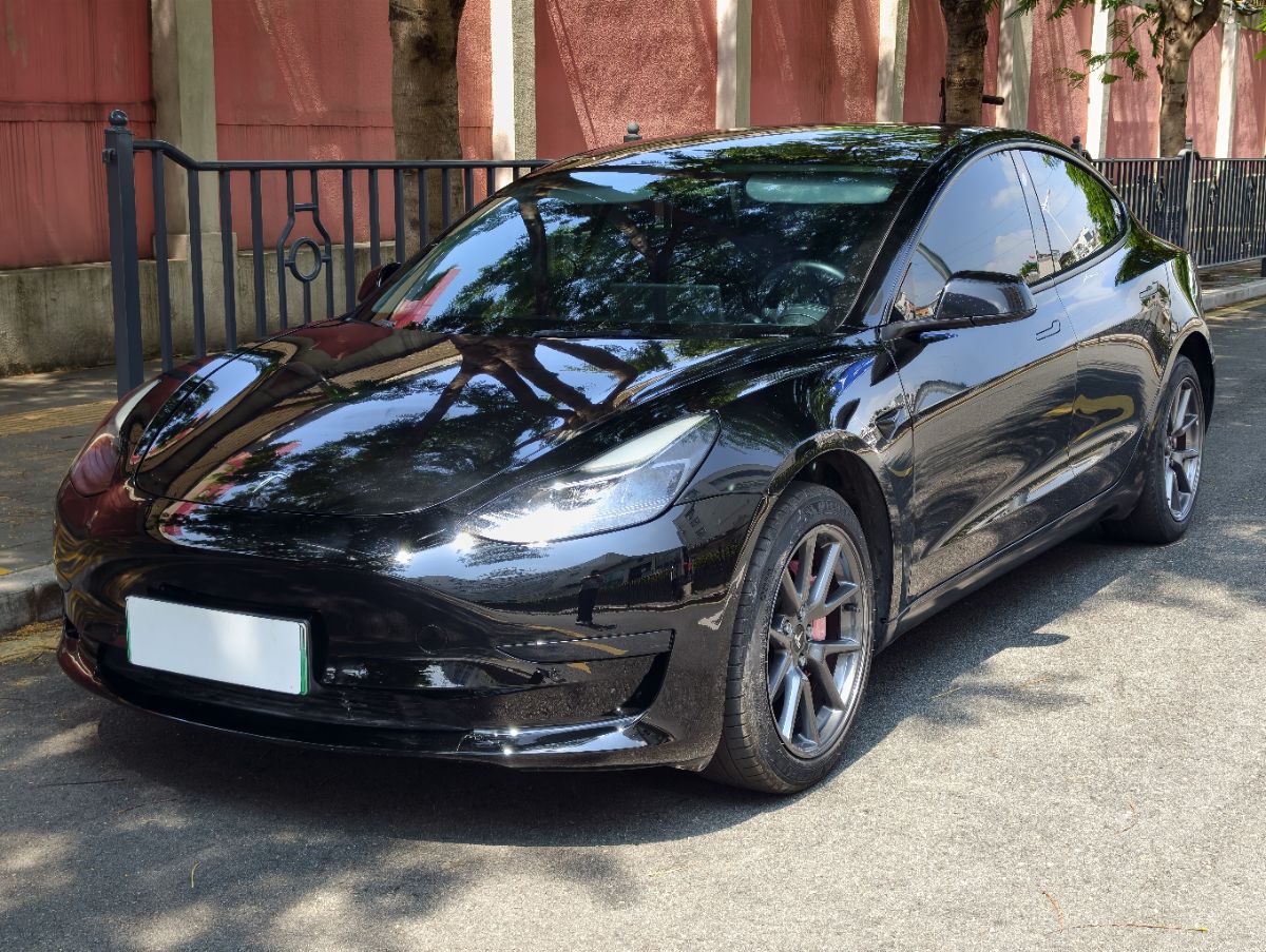 Tesla Model 3 2022 Tesla Model 3 2022 car image