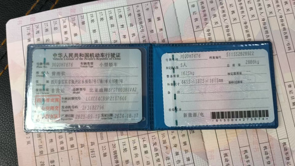 BYD Yuan Plus 2023 car image #9