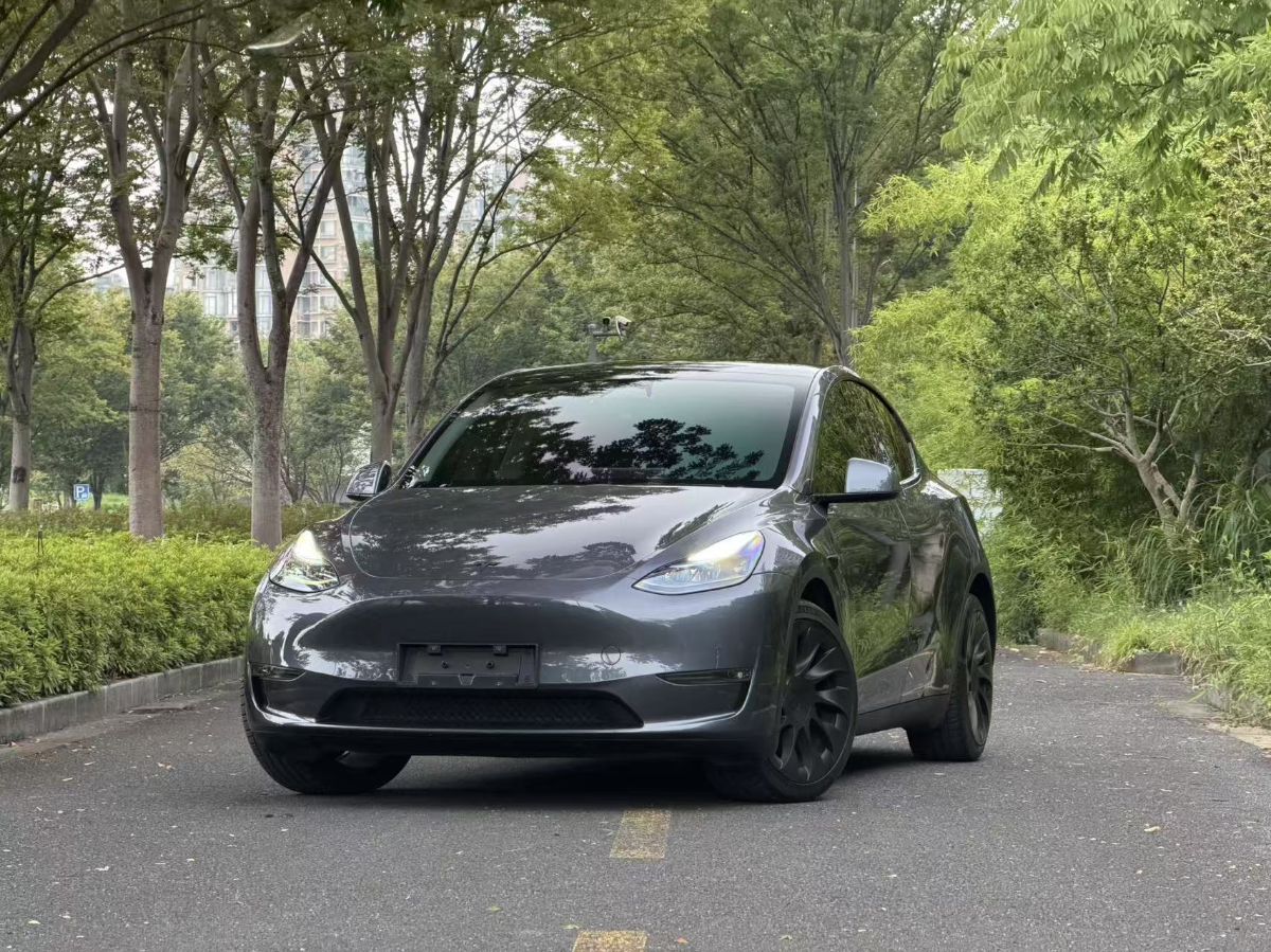 Tesla Model Y 2024 #3 Tesla Model Y 2024 car image #3