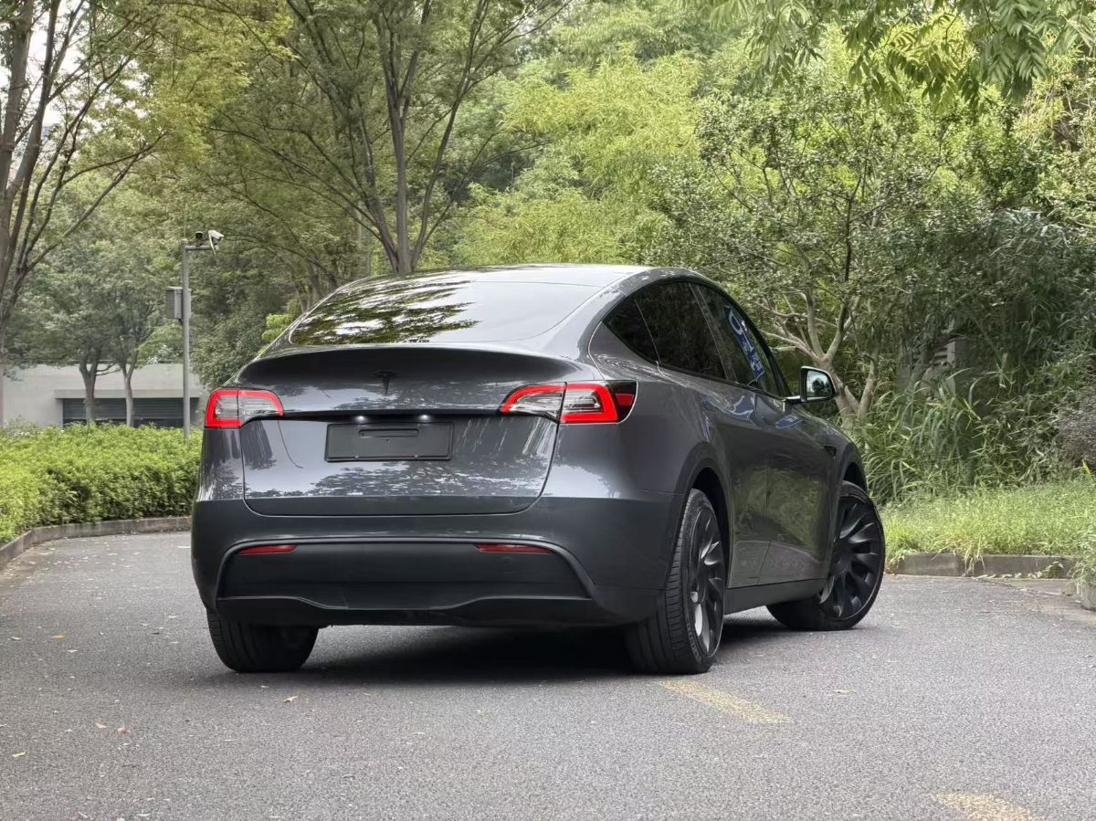 Tesla Model Y 2024 #4 Tesla Model Y 2024 car image #4