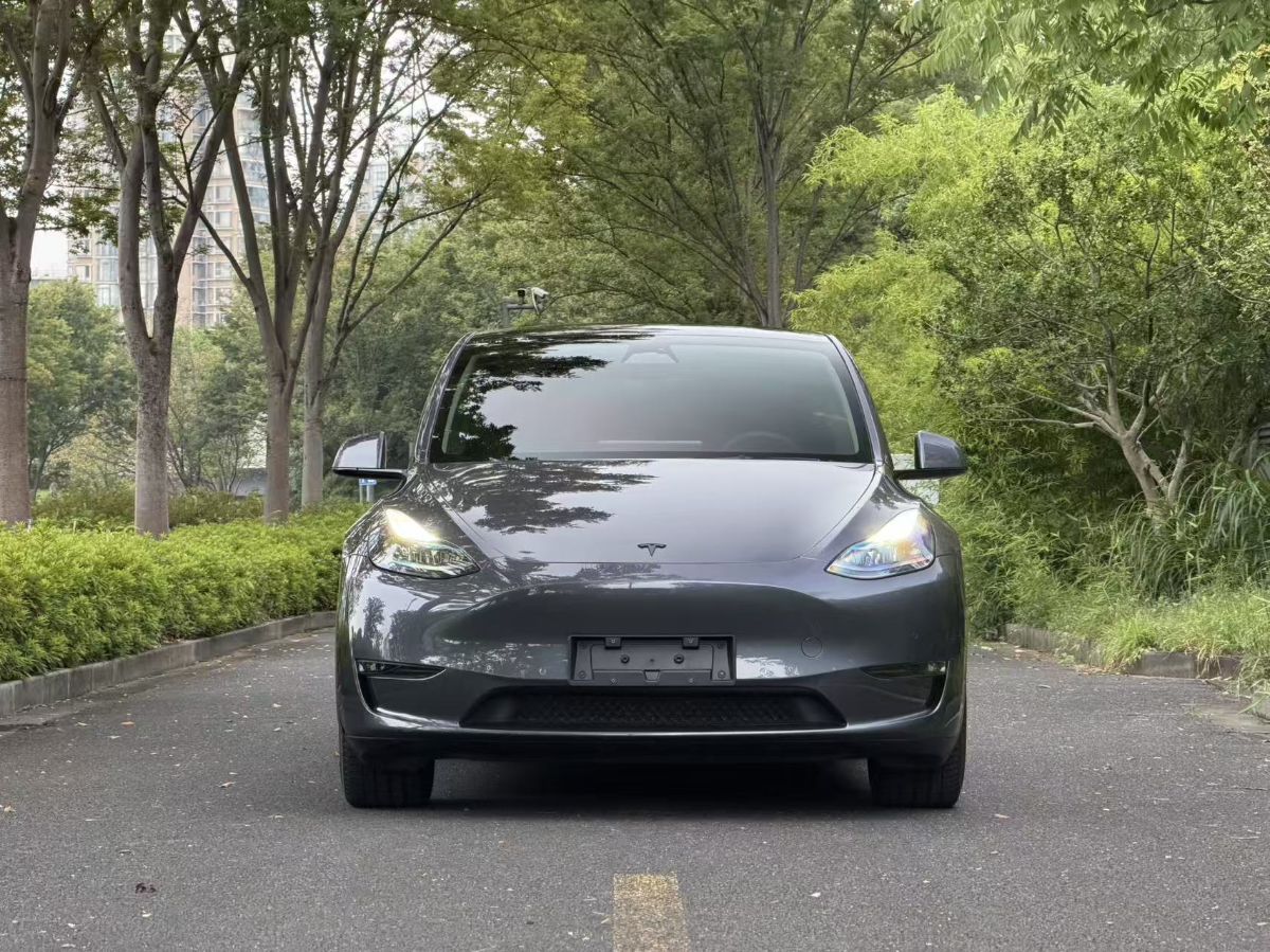 Tesla Model Y 2024 #2 Tesla Model Y 2024 car image #2