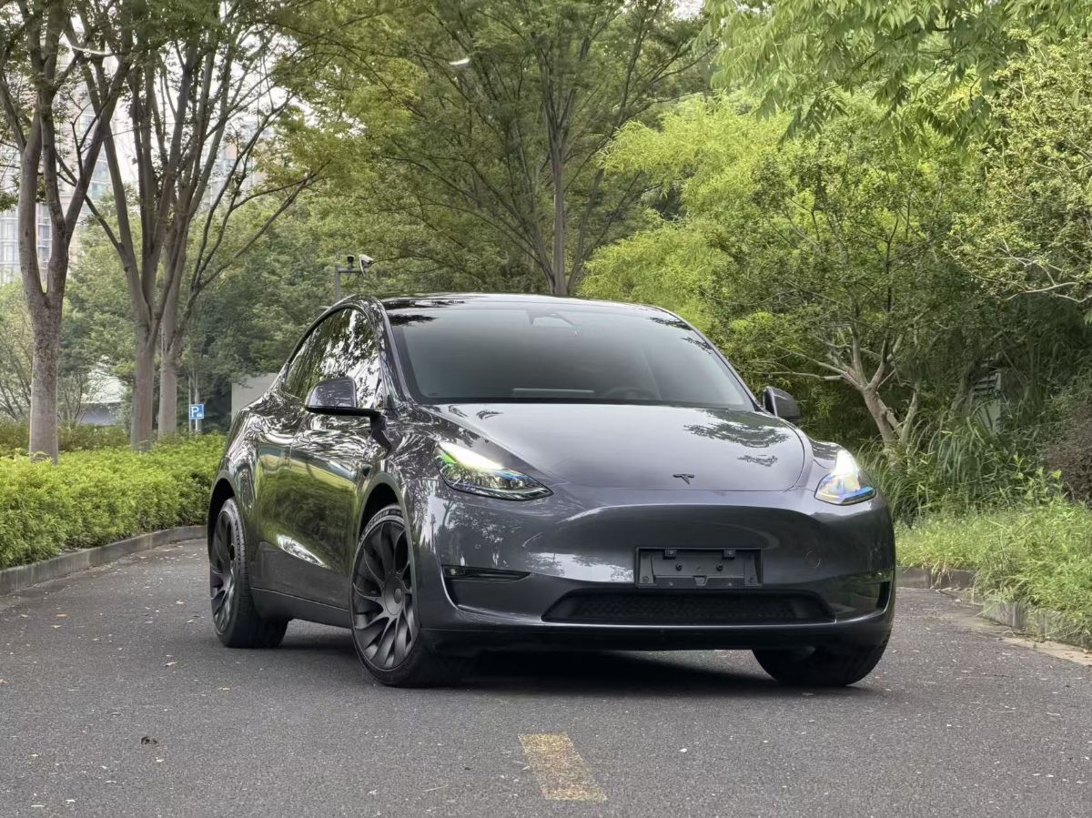 Tesla Model Y 2024 Tesla Model Y 2024 car image